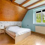 Holiday home Le Nid De Cigognes, Jardin, Piscine & Cinema 20 Min Europa-park Witternheim
