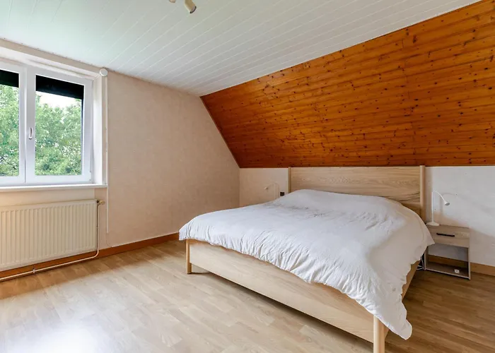 Maison 10 Pers Jardin, Piscine & Cinema Europa-Park Witternheim